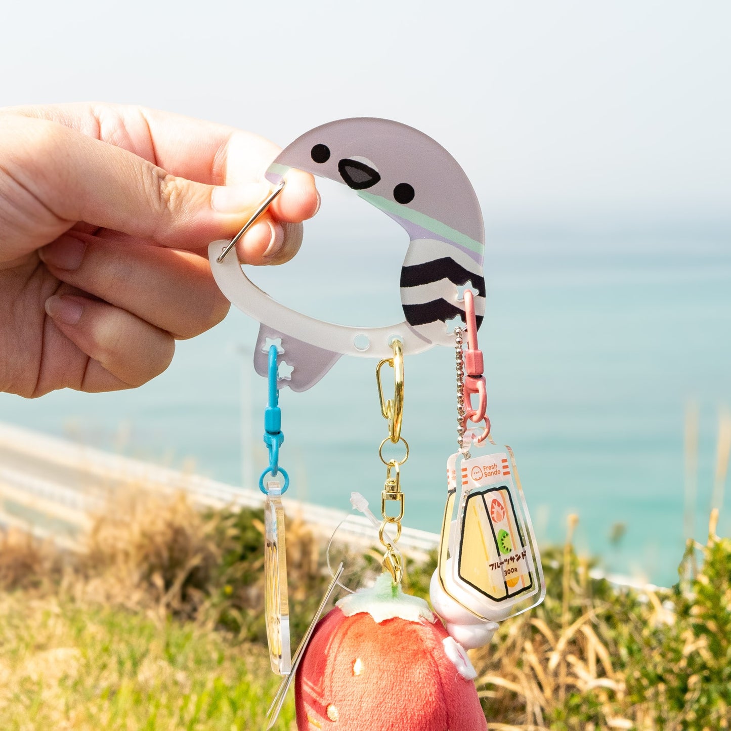 Pigeon Acrylic Carabiner