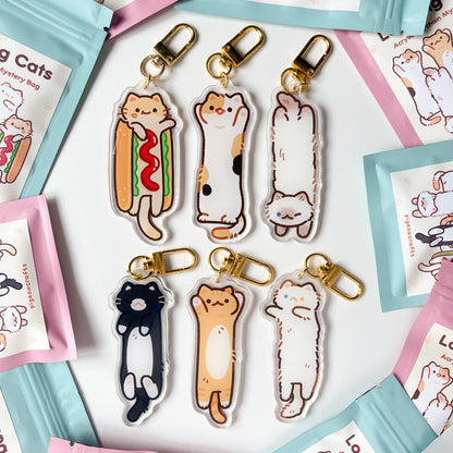 Long cats Mystery Keychain (6 designs)