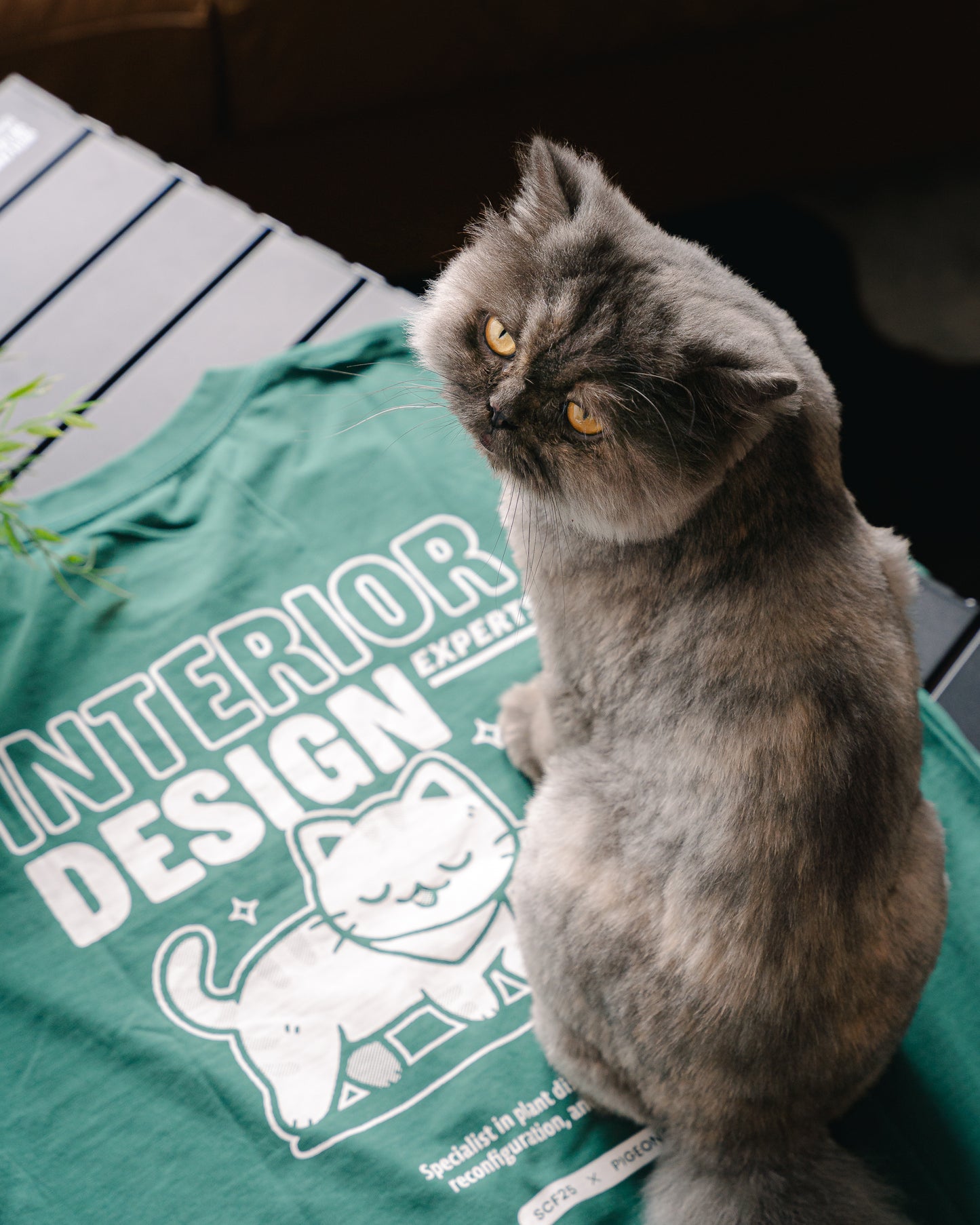[Singapore Cat Festival] Official T-shirt