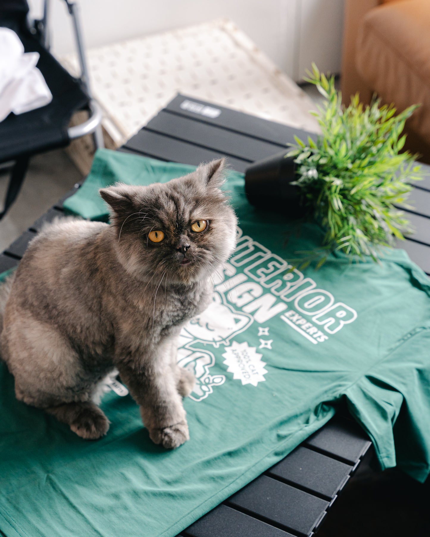[Singapore Cat Festival] Official T-shirt
