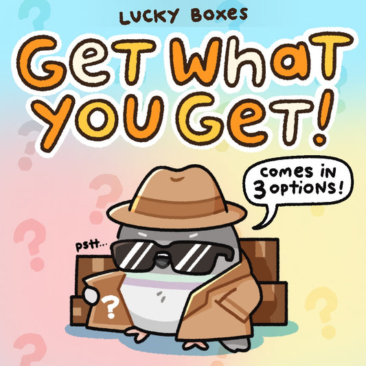 "Get What You Get" Lucky Box