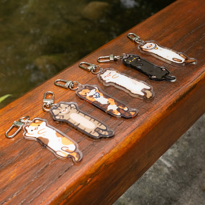 Long cats Mystery Keychain V3 (6 designs)