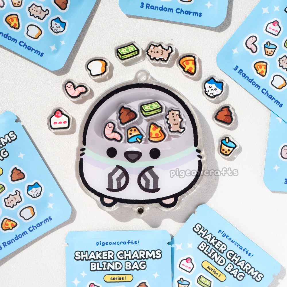 Pigeon Bird Brain Shaker Keychain Set
