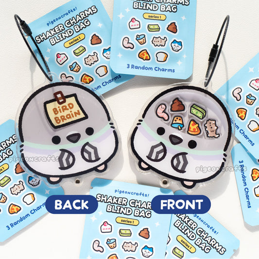 Pigeon Bird Brain Shaker Keychain Set