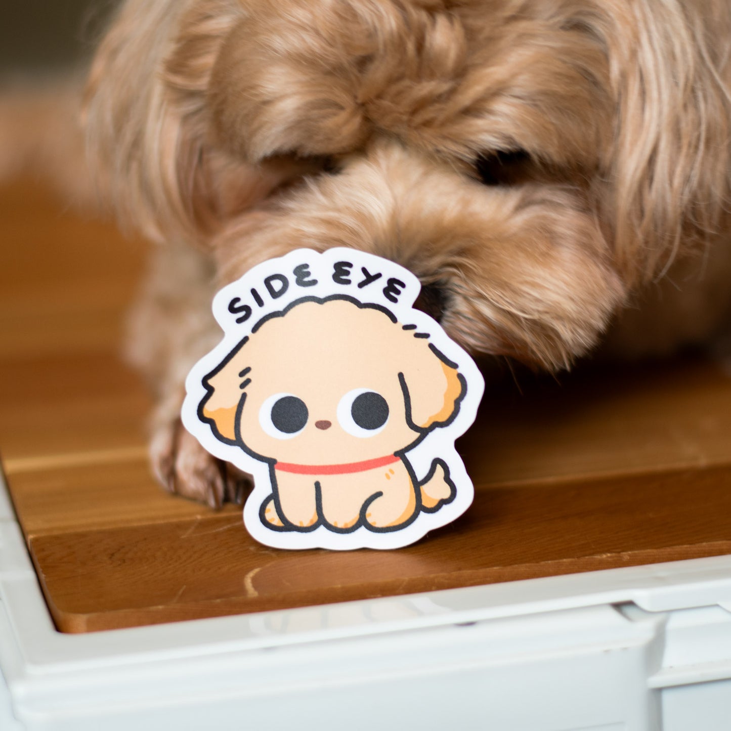 Potato Side Eye Matte Sticker